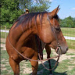 Meet your Posher, Cathy